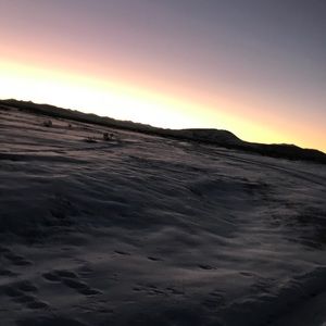 Meet your Posher, Blake